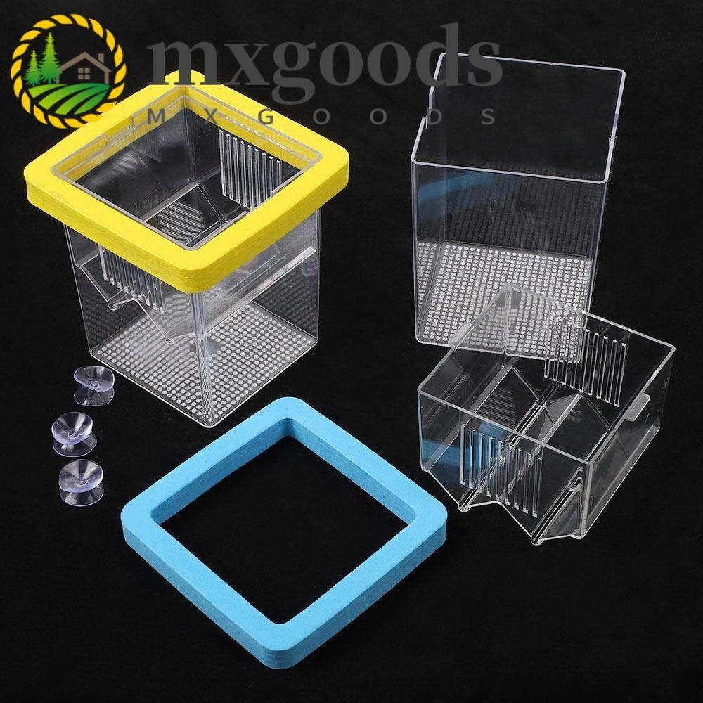 MXGOODS Floating Fish Breeding Box, Acrylic Square Aquarium Fish ...