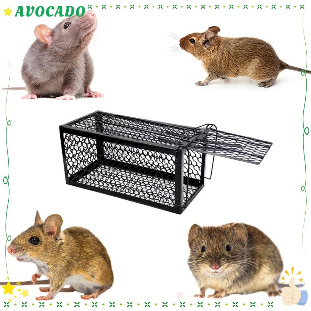AVOCADD Mouse Catcher Animal Control Pout Rat Implement Rat Cage Useful ...