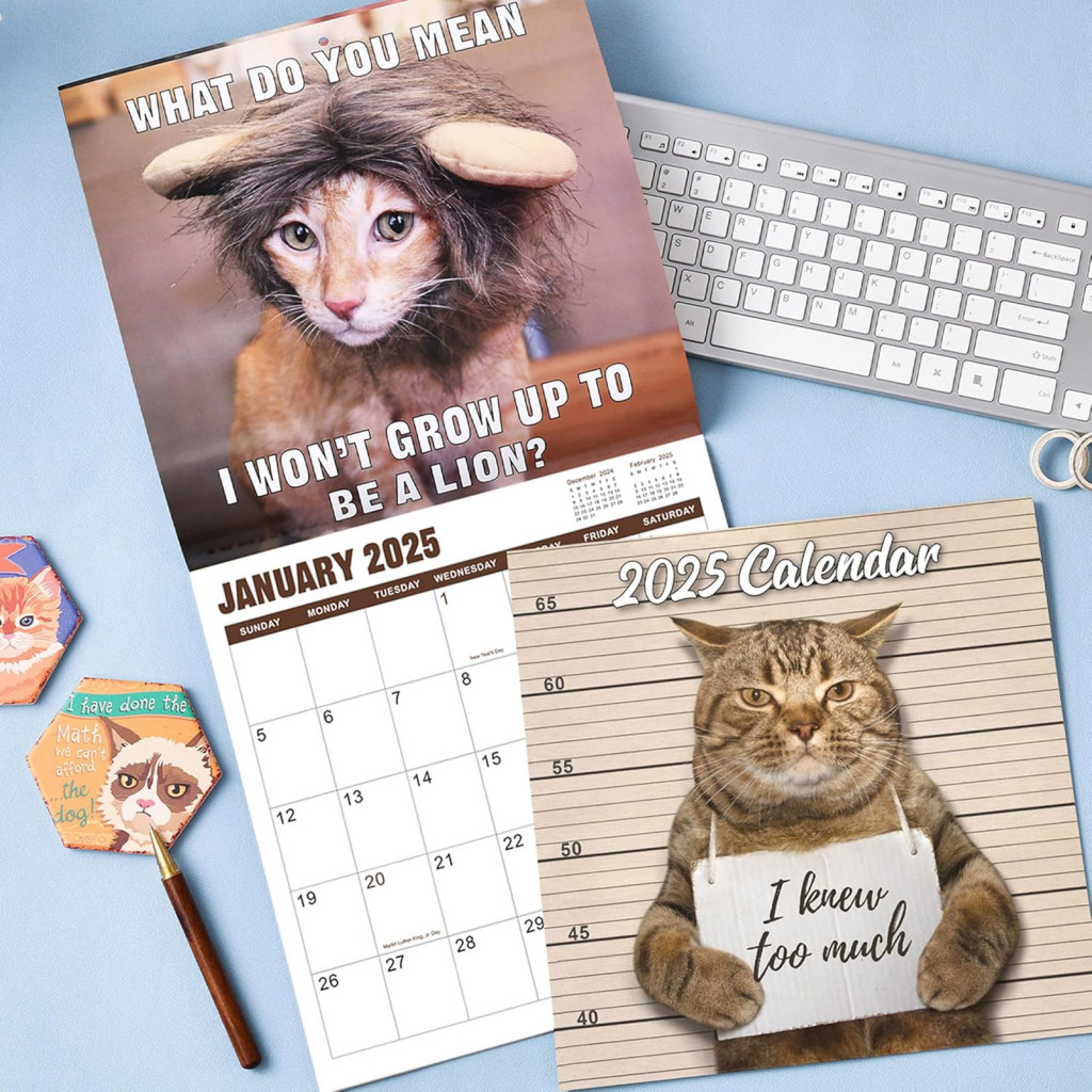 FA Funny Cat Memos Calendar Monthly Planning Tool with Cats 2025 Funny