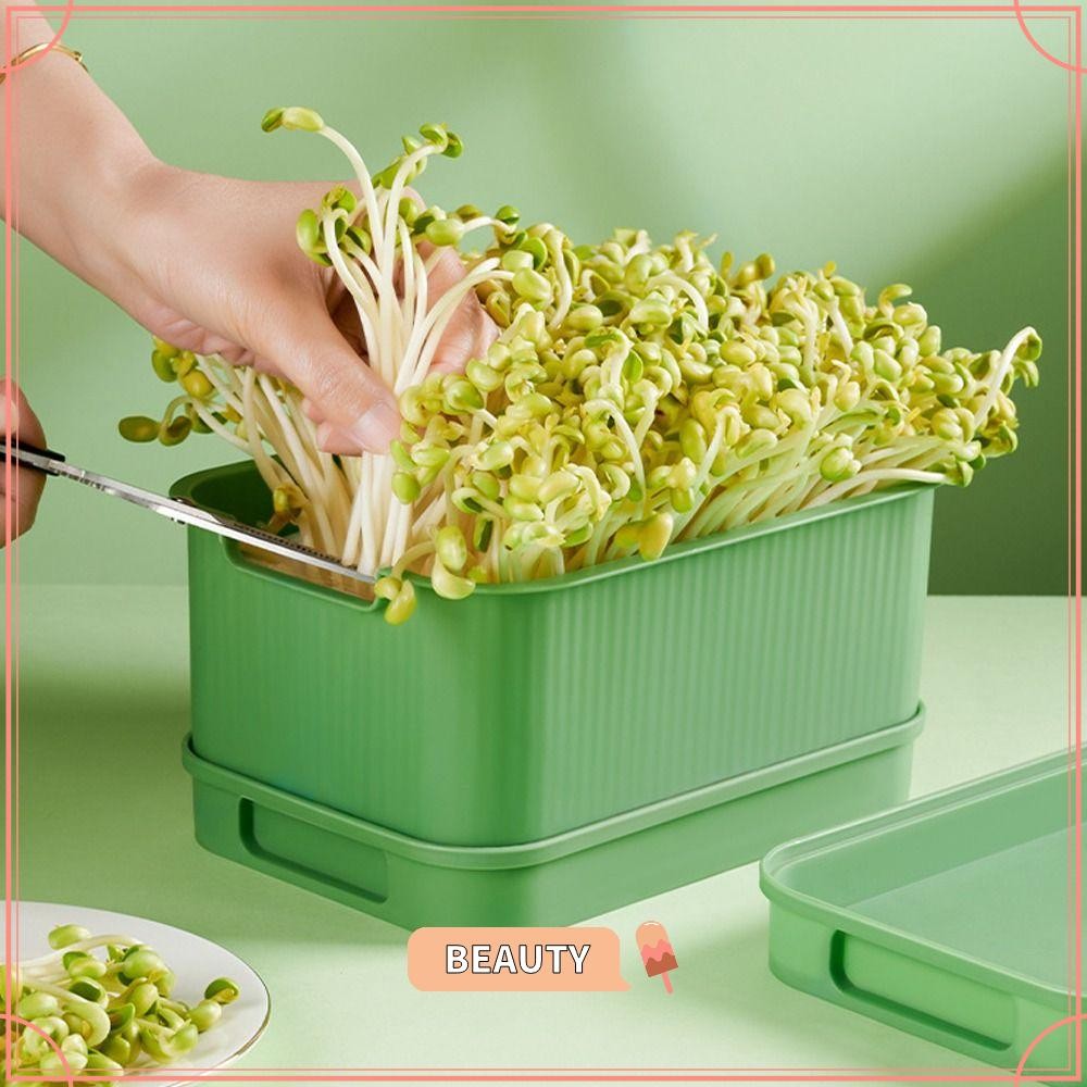 BEAUTYONE Sprouts Growing Tray, Sprout Planting Helper Horticultural ...