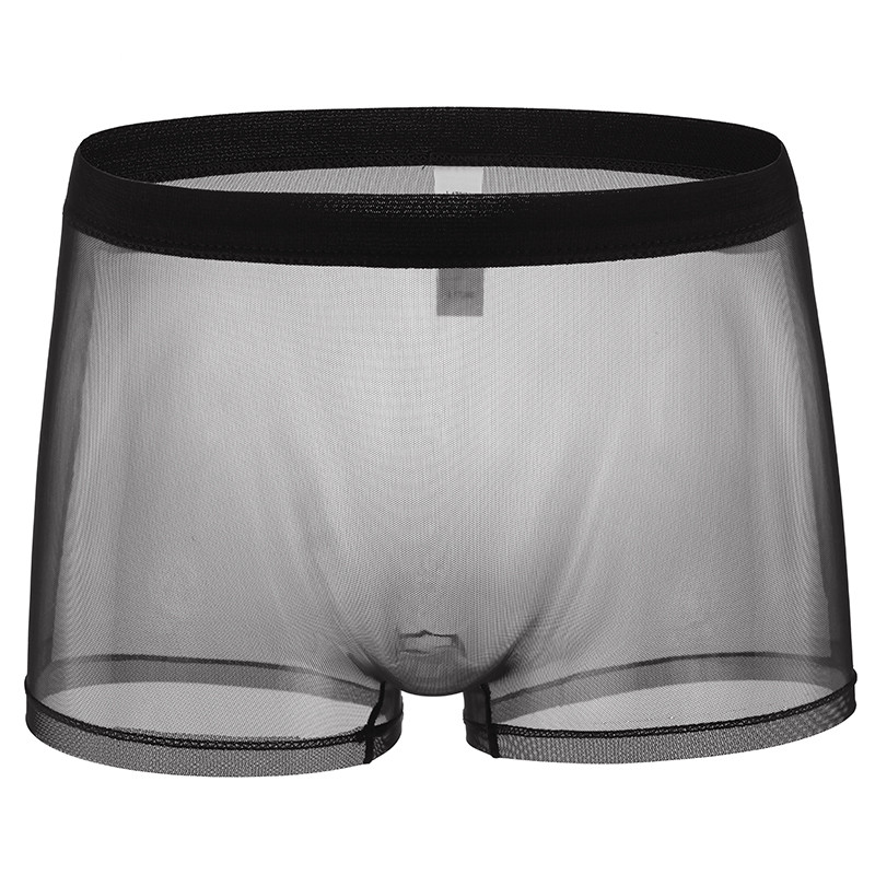 New Summer Men's Underwear Lace Transparent Boxers Low Waist Underpants ...