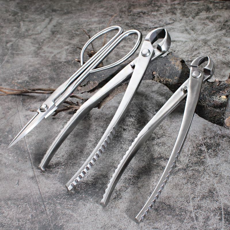 Dingyi Bonsai Ball Section Shears Leaf Sprout Spherical Type Broken Rod ...