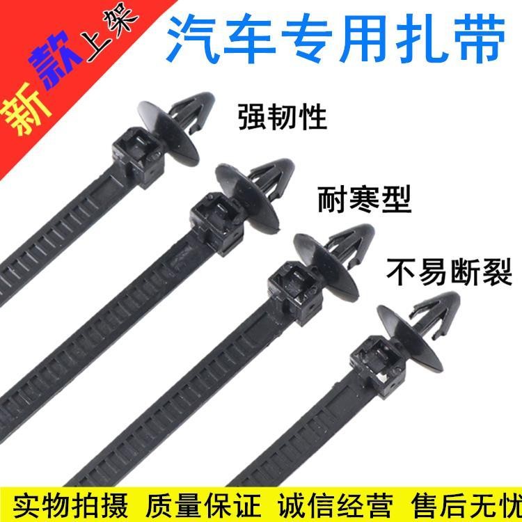 100 Stück Nylon-Kabelbinder Selbstsichernd – Universal-Clips Für Auto, Haus & Werkstatt