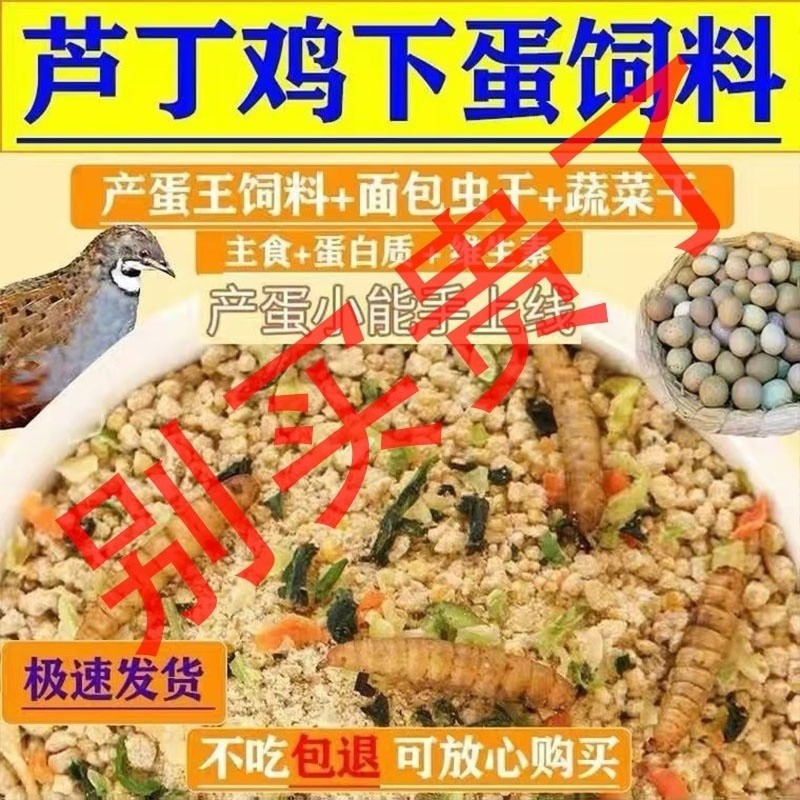 [People Praise] Ludding Chicken Special Feed Ludding Chicken Producing ...