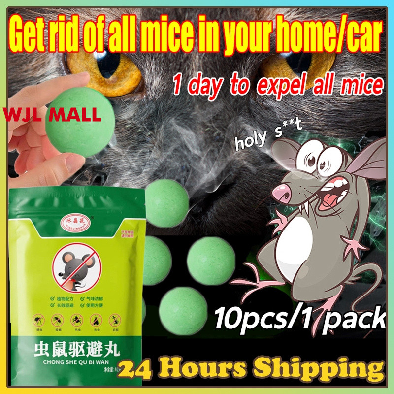 Natural Rodent Repellent|Safe for Home, Car | Long-Lasting Mice, Rat ...