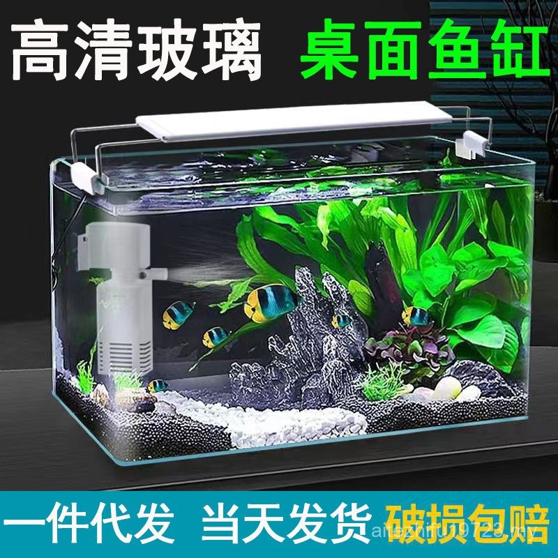 View of Living Room Small Fish Tank Transparent Hot Bending Glass Integrated ...