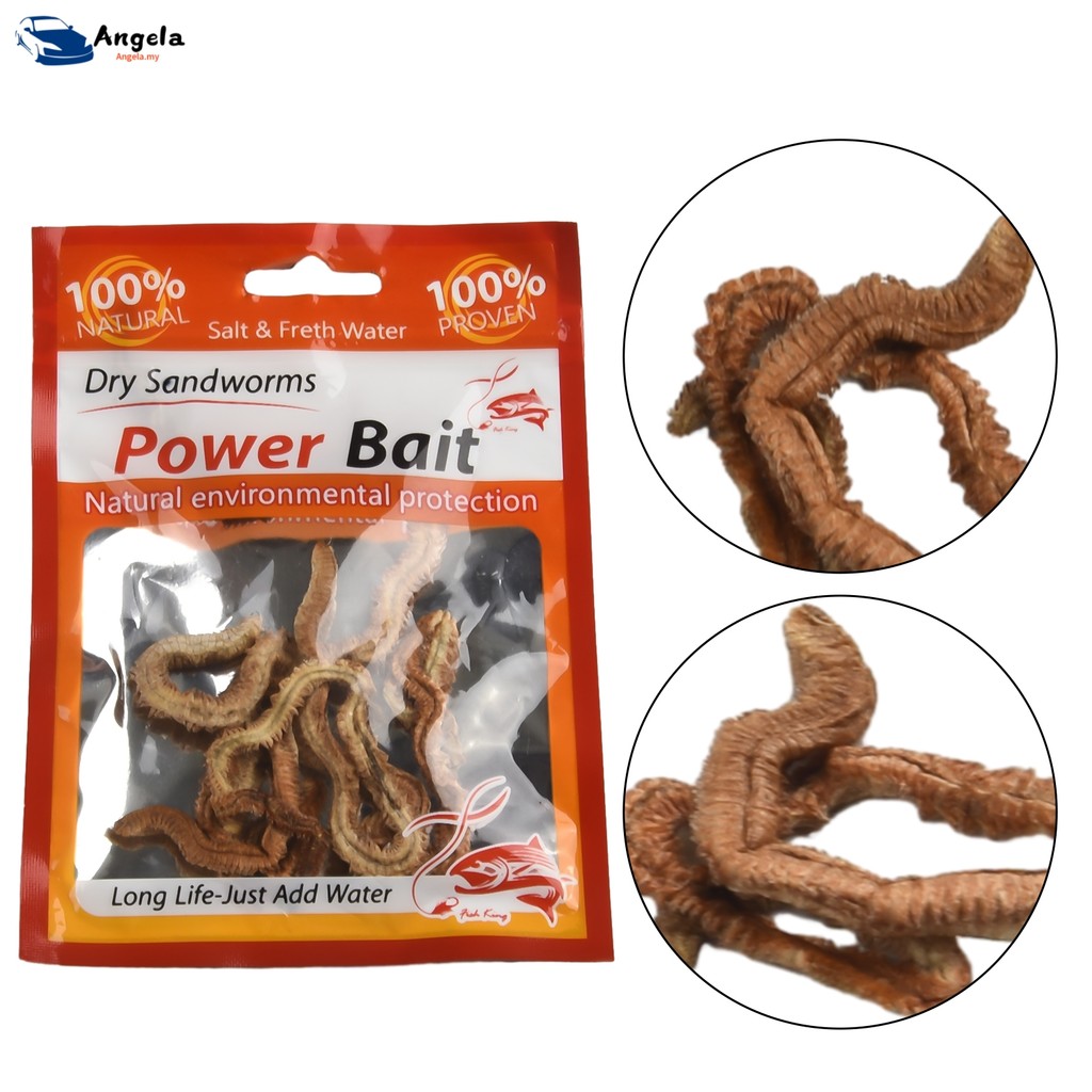 Angela.my ️6/10g Dry Sandworm Live Fishing Lure For Feeder Catfish ...