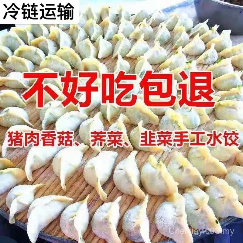 Handmade Dumplings Fresh Pork Stuffing Vegetarian Dumplings Breakfast ...