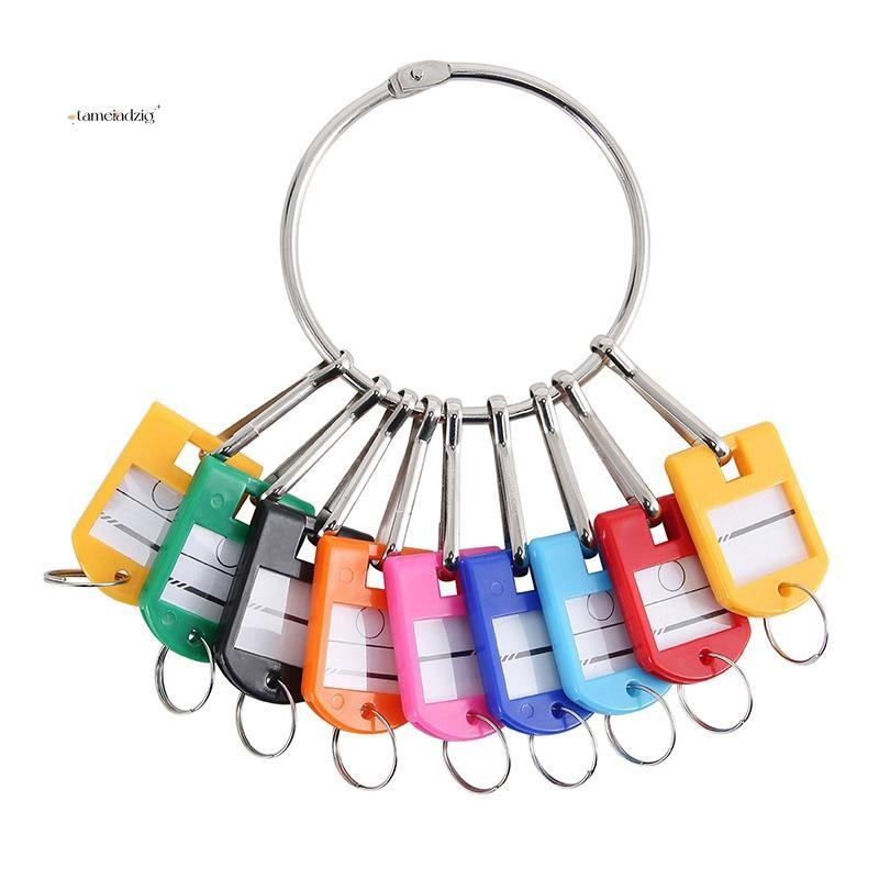 Key Organizer Reusable with 10 Spring Hooks & Key Tags with Ring and ...