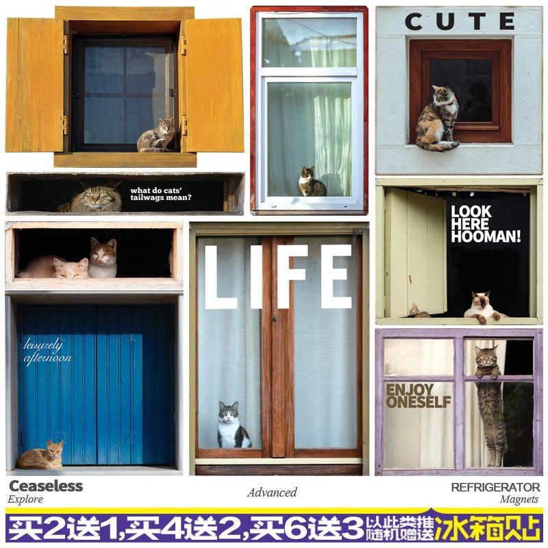 【Shipment within 24 hours‌】 Creative Adorable Cat Window Fridge Magnet ...