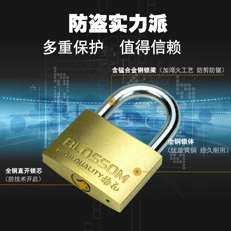 Plum Blossom Lock Thin Copper Padlock Extended Lock Beam Copper Lock ...