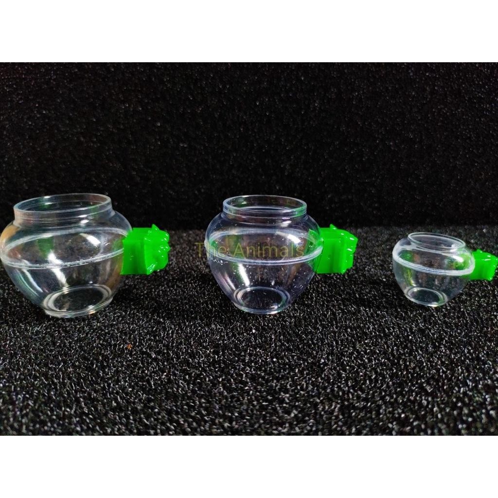 Food container for crested birds, green plastic piercings | Shopee Malaysia