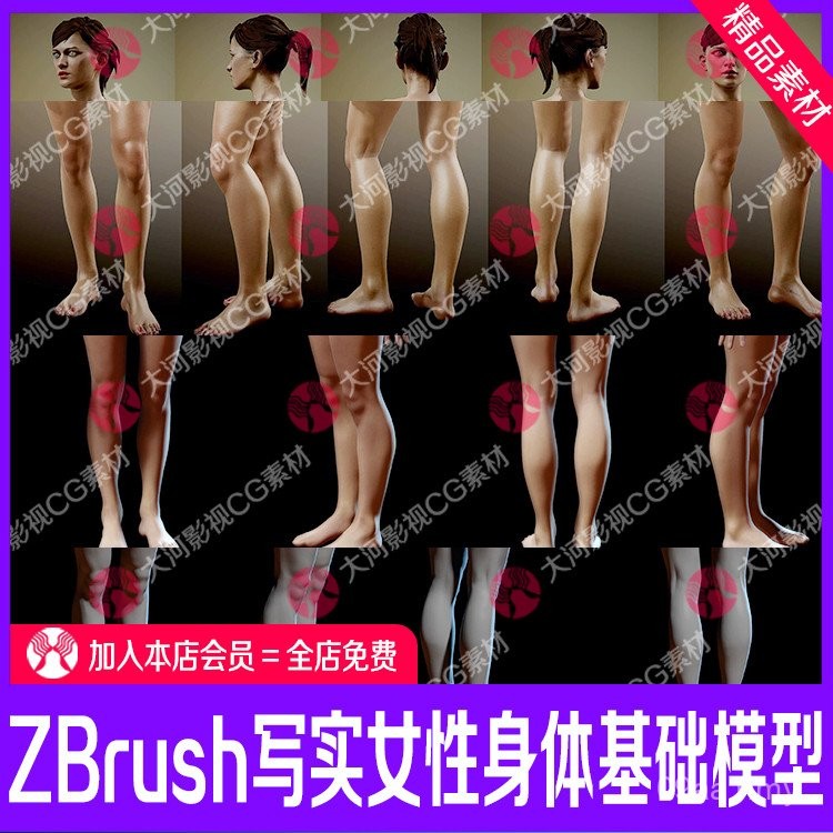 Zbrush Realistic Female Body Basic Model zb Female Head Hand Foot Model ...