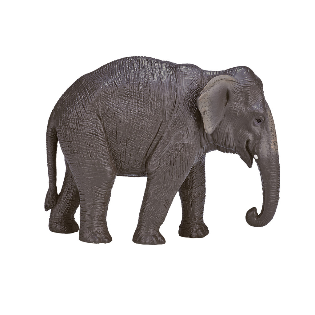 Mojo 387266 ASIAN ELEPHANT Wild zoo animal play model figure toy ...