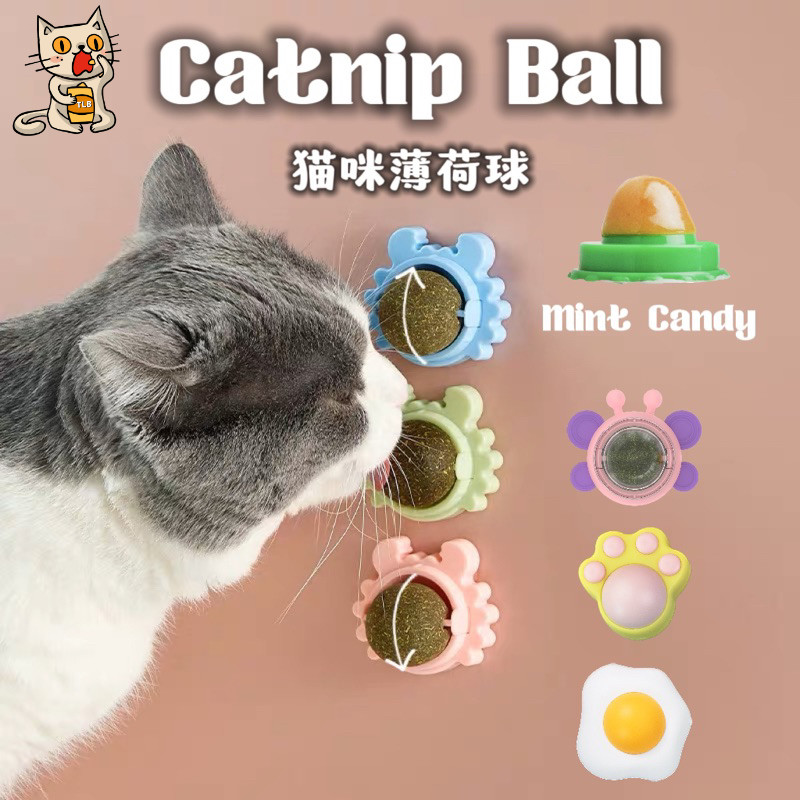 Cat Treats Catnip Ball Polygonum Stick Cat Mint Candy Molar Kucing ...