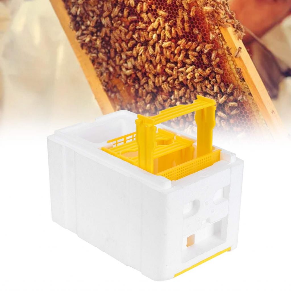 Onebuycart Mini Beehive Bee Mating Box Pollination High Density Foam ...