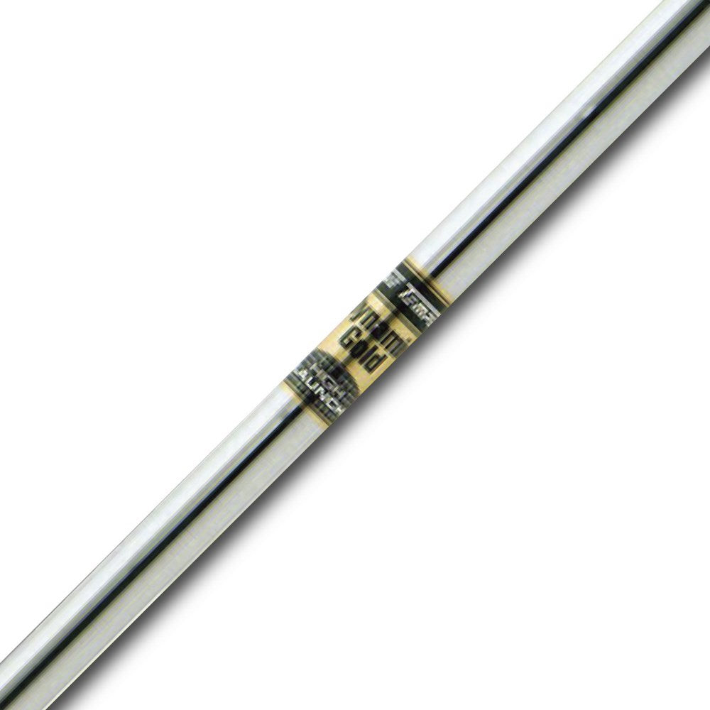 True Temper - Dynamic Gold HL - R300 (Warranty Void) | Shopee Malaysia