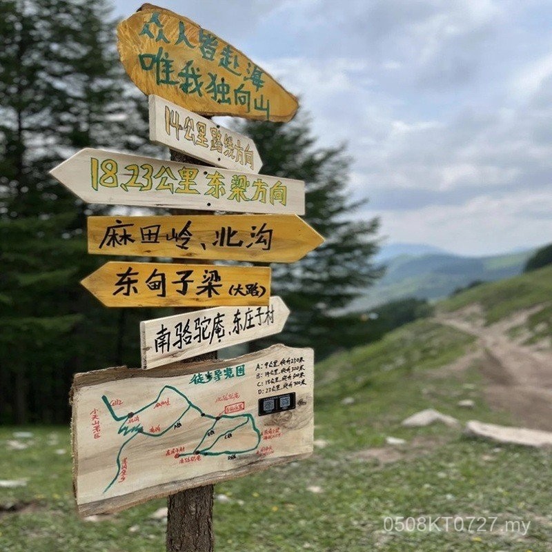 Outdoor Solid Wood Anti-corrosion Sign Influencer Attractions Clocking ...
