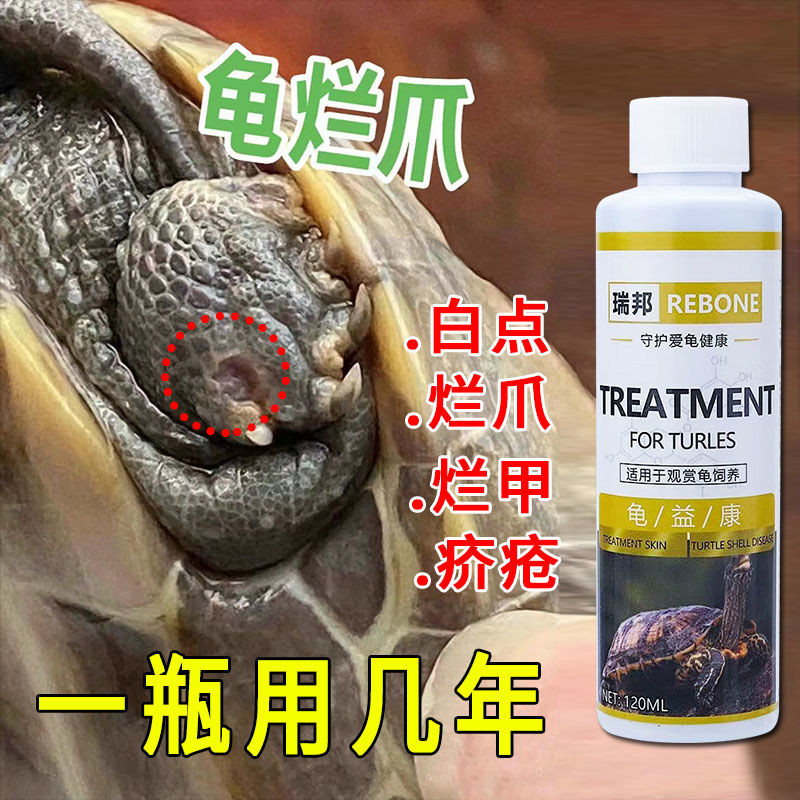 Tortoise Neck Corrugated Skin Rotten Shell Anti-Inflammatory Scabies ...