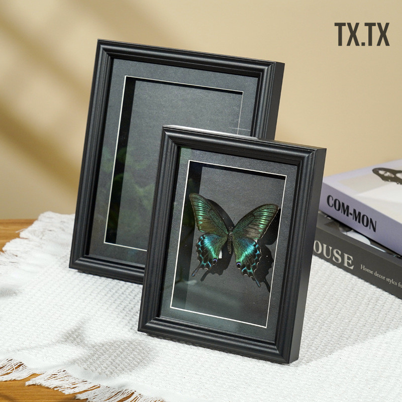 Butterfly specimen photo frame handmade souvenir photo frame Glass ...