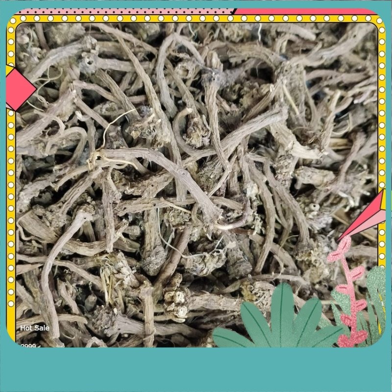 Akar kara/Spanish chamomile 50gm. Longwort root spanish chamomile root ...