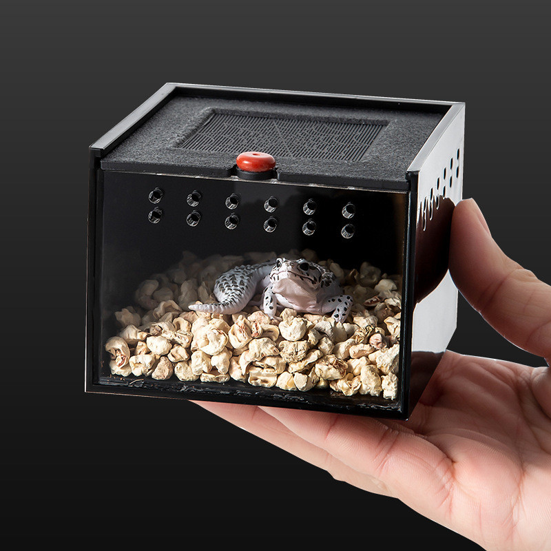 Small Small Climbing Pet Box Pet Reptile Box Acrylic Spider Scorpion ...