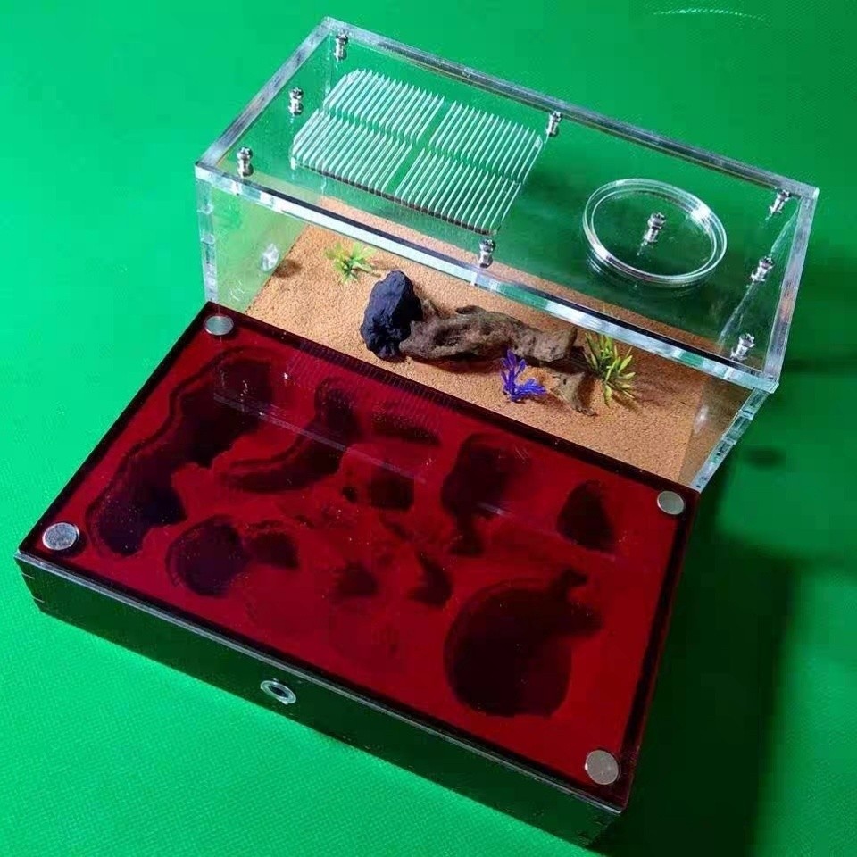 Ant Castle M Double Water Tower Pet Ant Workshop Farm Long-Term ...