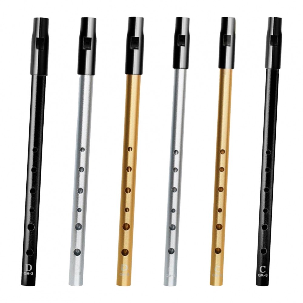 Sifflet Irlandais Tin Whistle – Son Doux Et Puissant En Métal, Touche C / D / Bb – Idéal Débutants Et Musiciens Confirmés (Argent Bb)