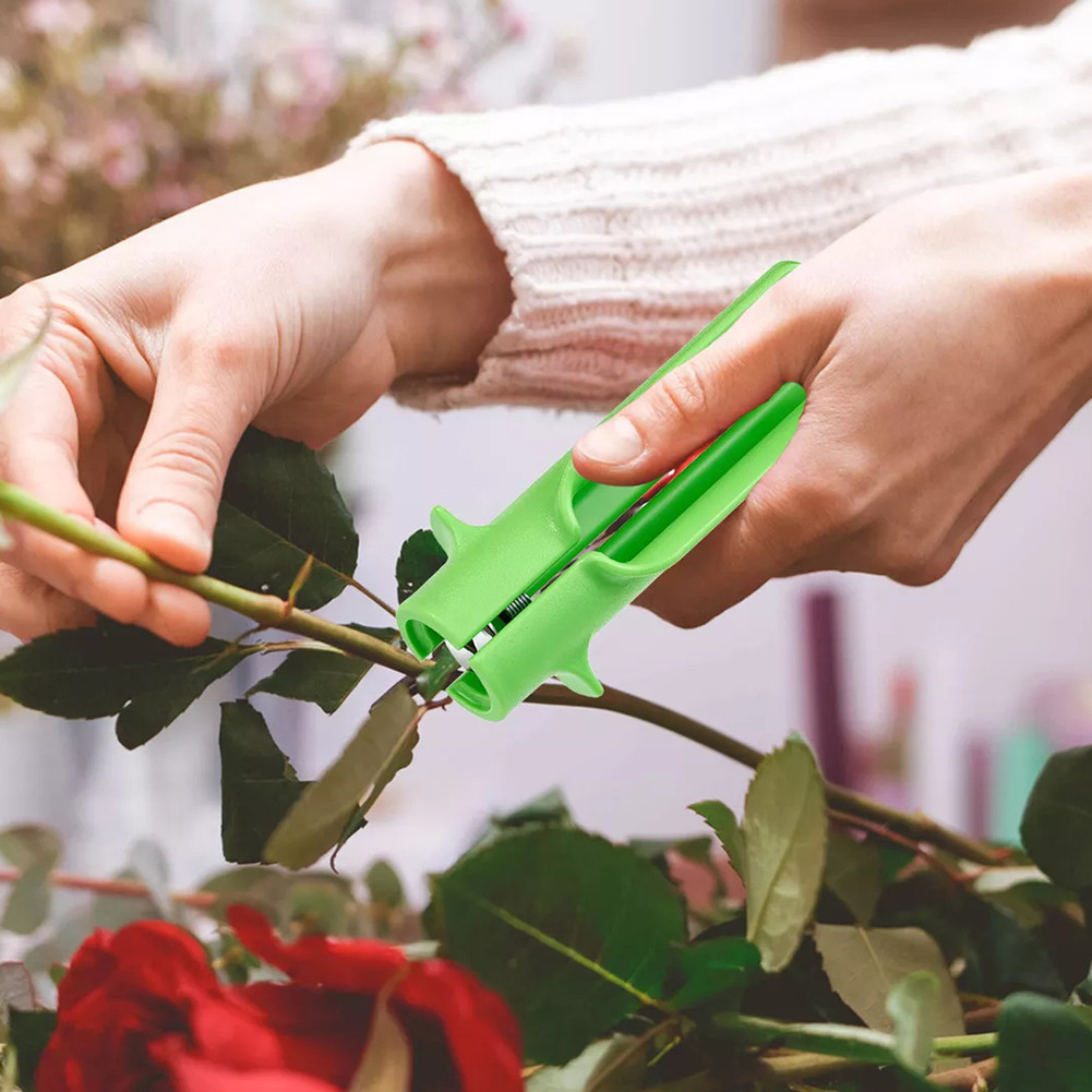 Épépineuse Pour Roses Jevie - Outil Désépinage Universel, 3 Pinces + 3 Gants Inclus, Rapide Et Sûr - 7