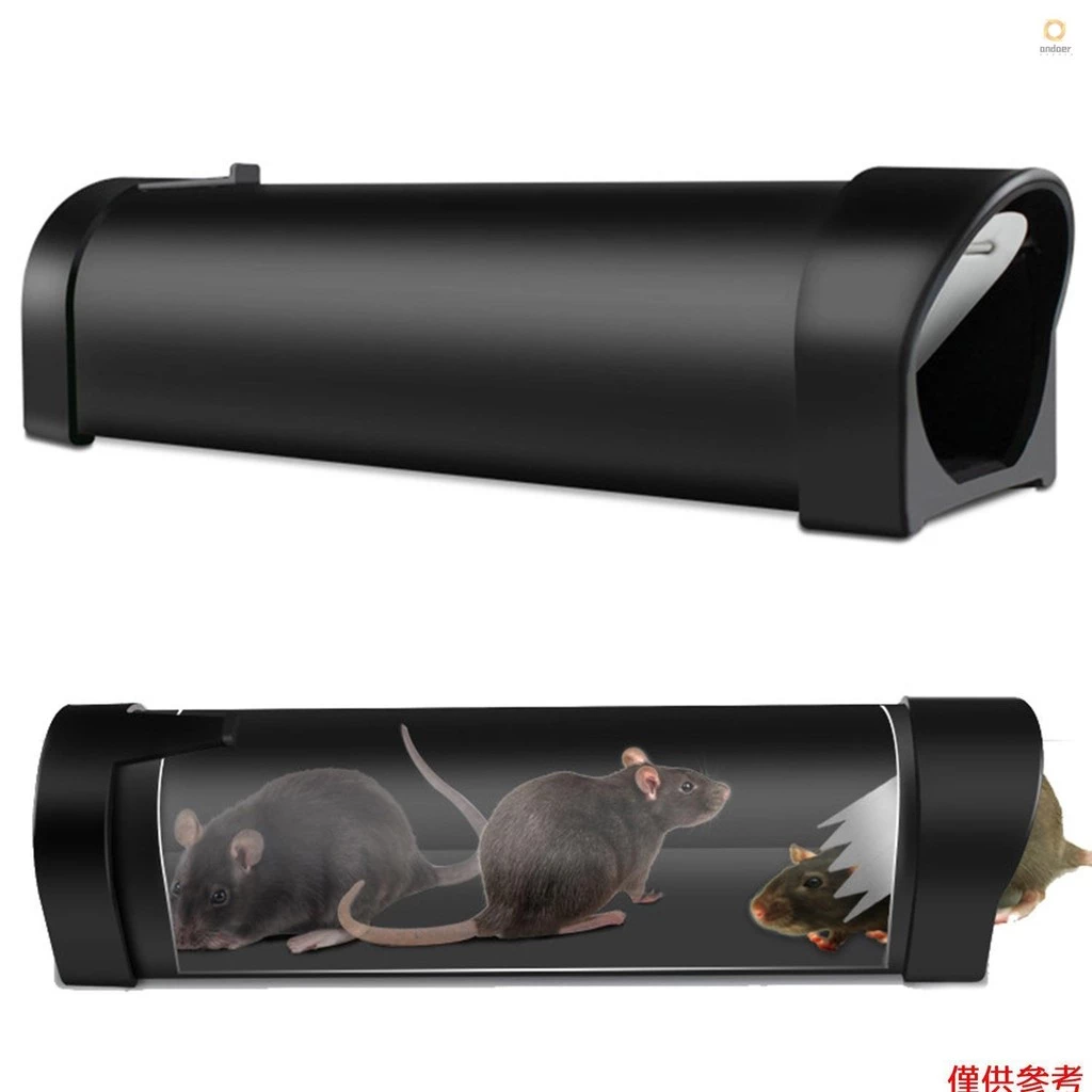 Rat Trap