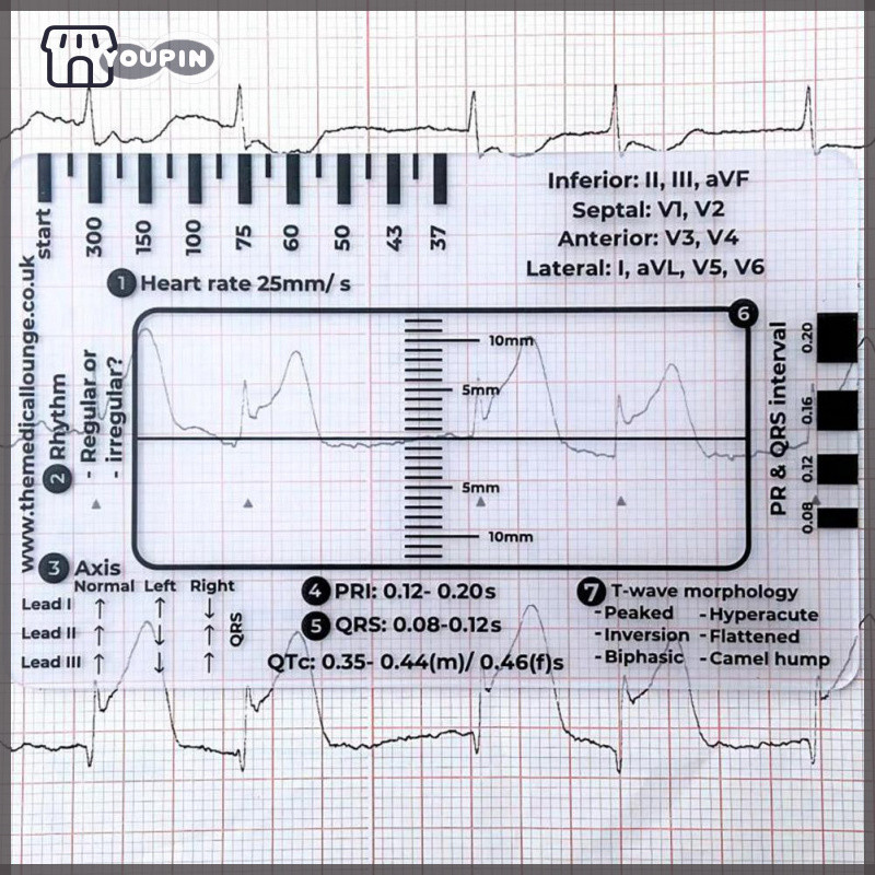 Ecg 7 Step Ruler Stainless Steel 180 Protractor Angle Meter Measuring ...