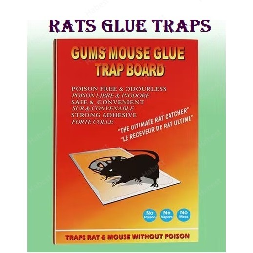 [Box] Rats Glue Traps Professional Strength Mouse Trap | Shopee Malaysia
