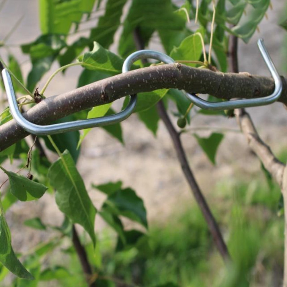 A Must Have Set of 50 M Shaped Branch Tools for Effective Gardening ...