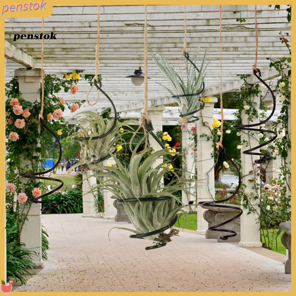 PEN| Small Swirl Air Plant Container Small Air Plant Stand Set ...