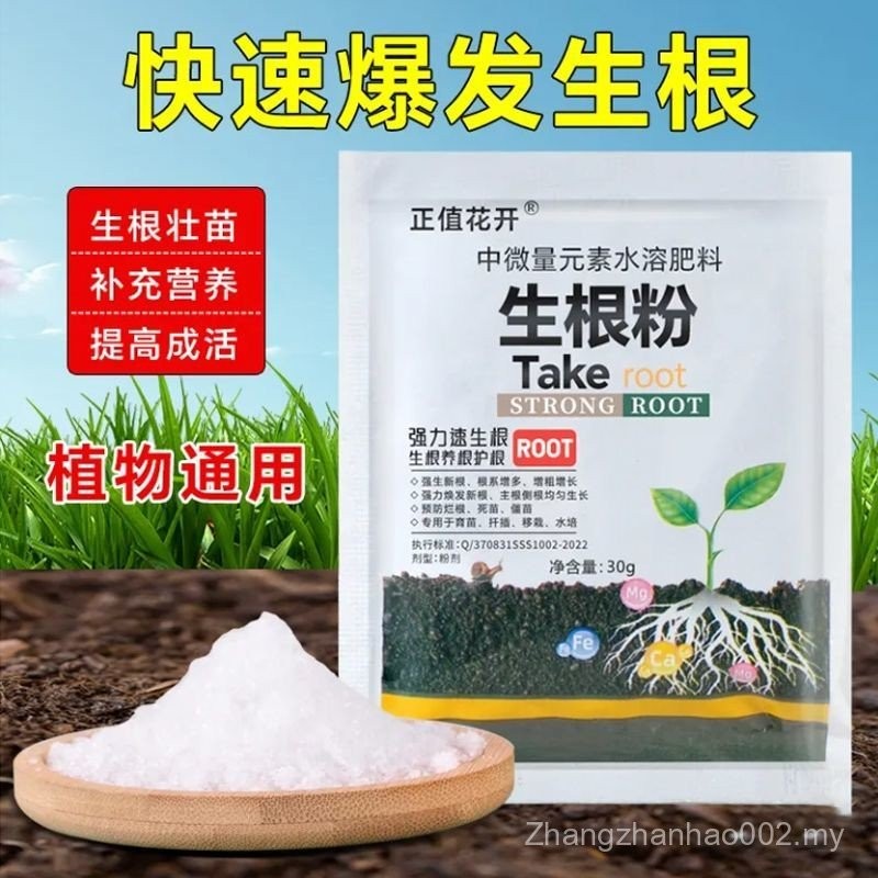 SG Root Powder Plant Quick Root Hydroponic Potted Flowers Vegetables ...