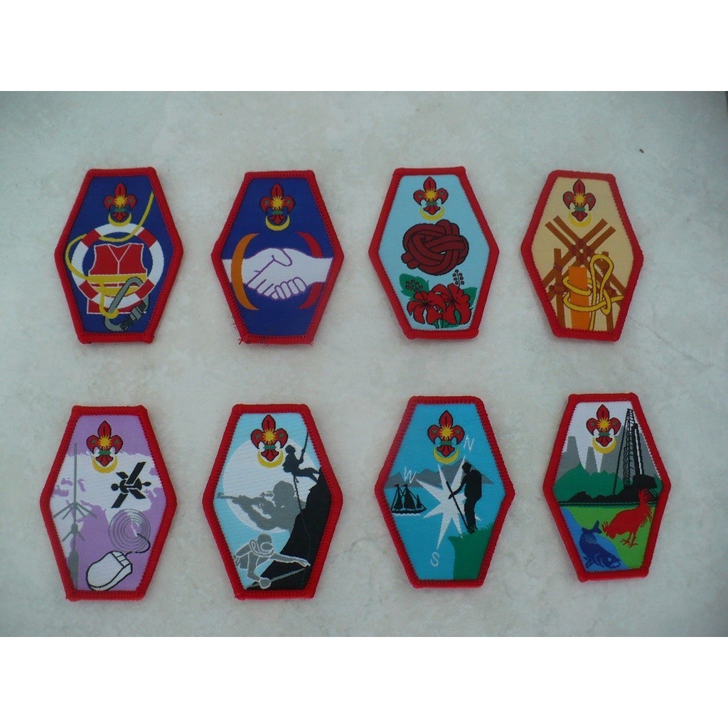 ROVER SCOUT BADGES FULL SET CURRENT ISSUE | Shopee Malaysia