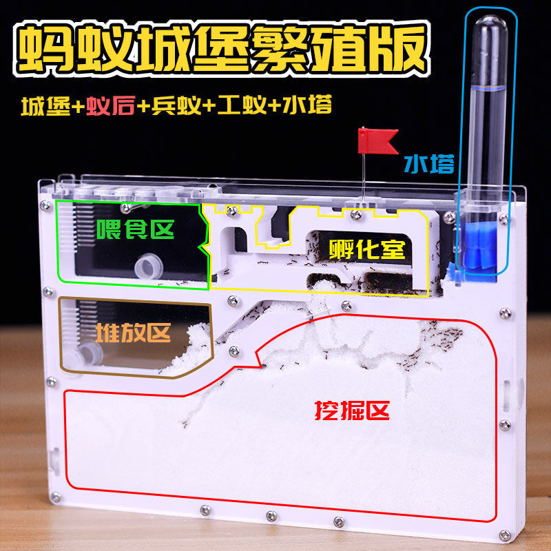 Ant Workshop Ant Queen Tribe Homeland Kingdom Nest Ant Castle Free Ant ...