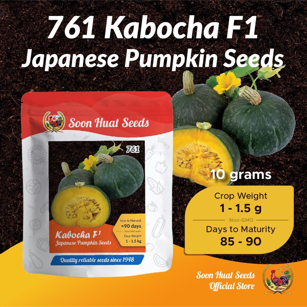 [10g] 761 Benih Labu Manis Jepun Kabocha Squash Soon Huat Seeds ...