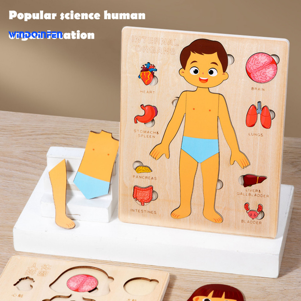 Educational Anatomy Puzzle Body Learning Toy Wooden Body Puzzle Board ...