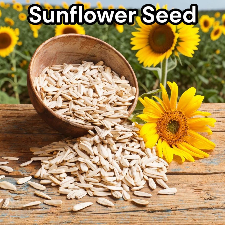 500g | 1kg Raw Sunflower Seed Kuaci / Biji Kuaci Mentah | Shopee Malaysia