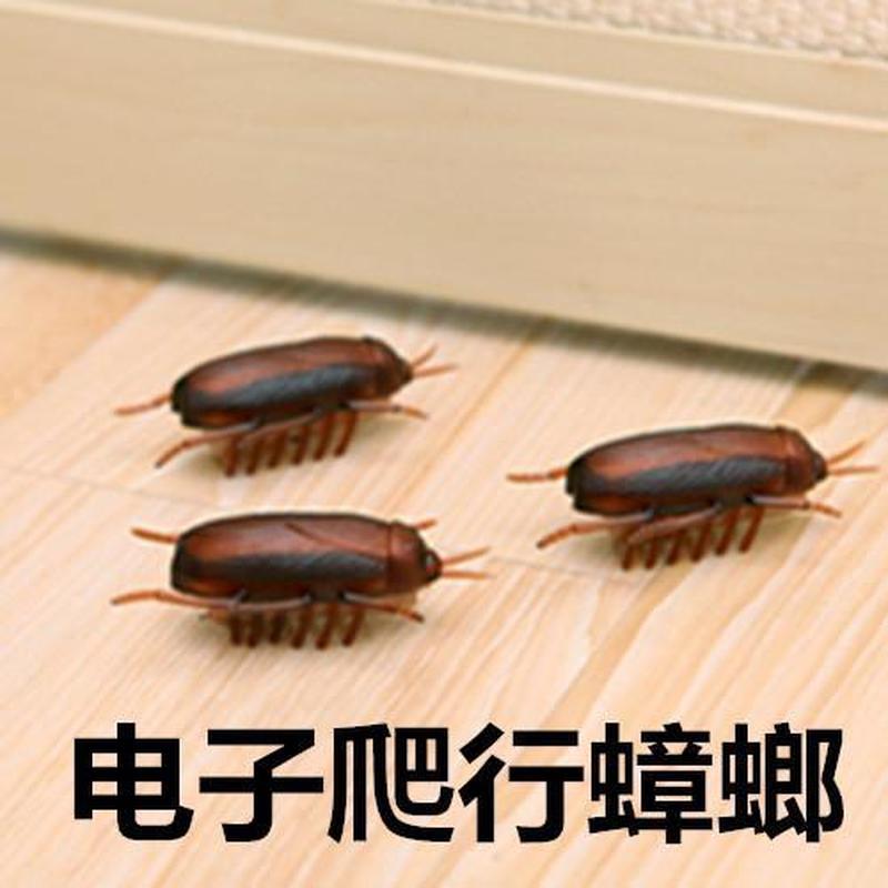 4.11Vibrat Crawl Cockroach Prank Toy, Novelty  and Fun for Birthdays, Funny Nano-ect Simulation, Mechanical Toy fo |  Shopee Malaysia
