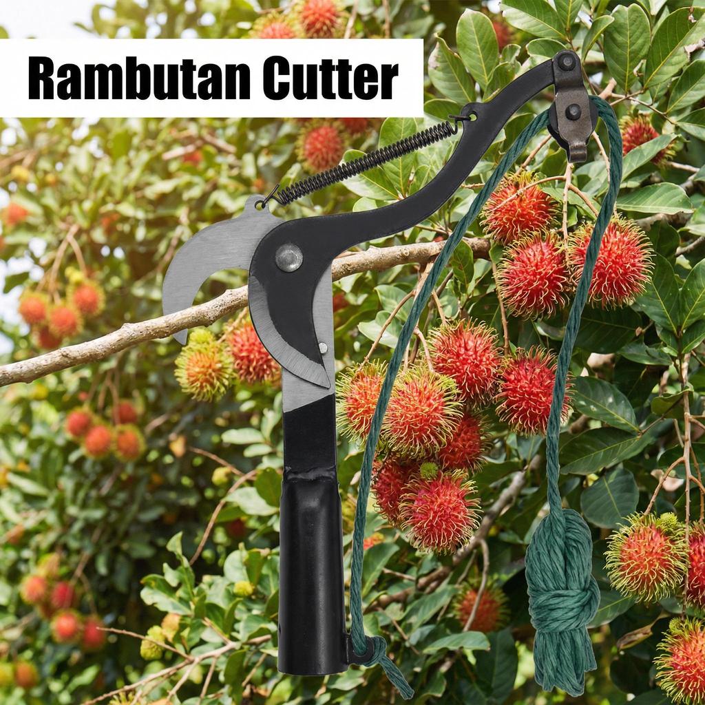 Black Rambutan Cutter Tree Pruner Trimmer Shear Rambutan Shear Gunting ...