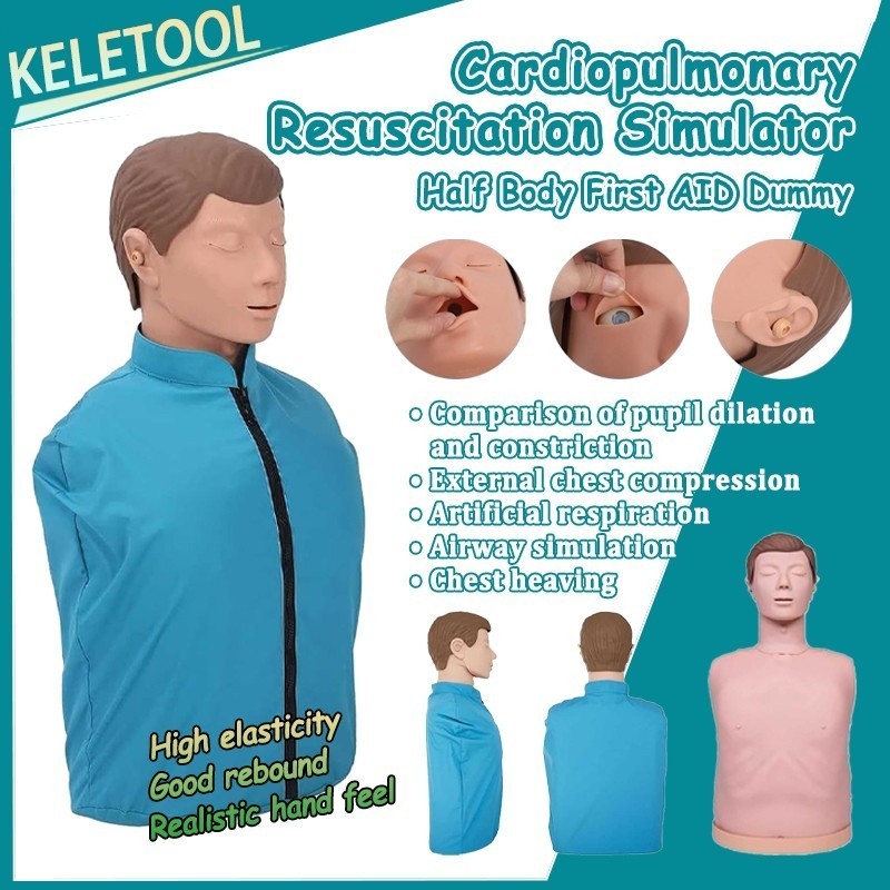 KELETOOL CPR Manikin Model First Aid Half Body Adult Manikin ...