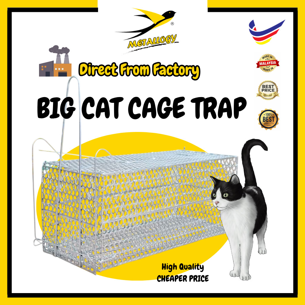 Metallogy New Big Cat Weasel Squirrel Kucing Siam Trap Cage Metal ...
