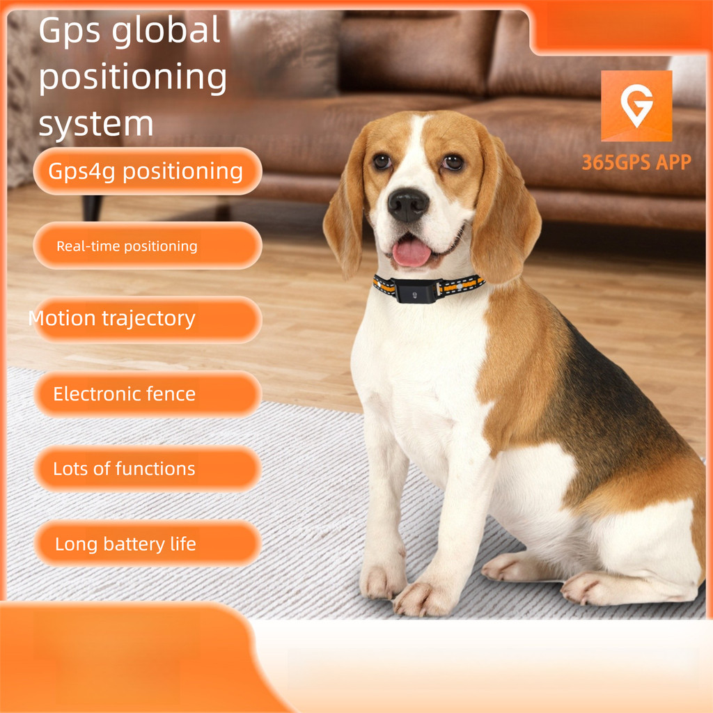 4G Cat Dog Anti-lost Electronic Fence History Track Tracker Waterproof ...