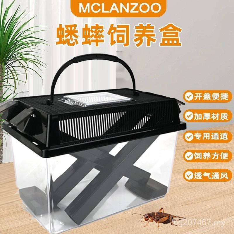 Mclanzoo Breeding Box Box Insect Escape Ventilation Cricket Cricket ...