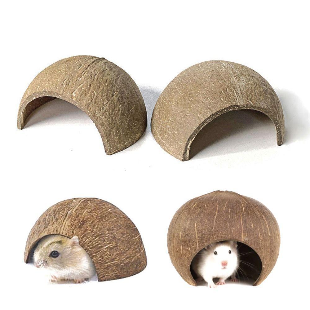 ABEBONGOTF Coconut Shell Hamster Nest, Bite-resistant Natural Coconut ...