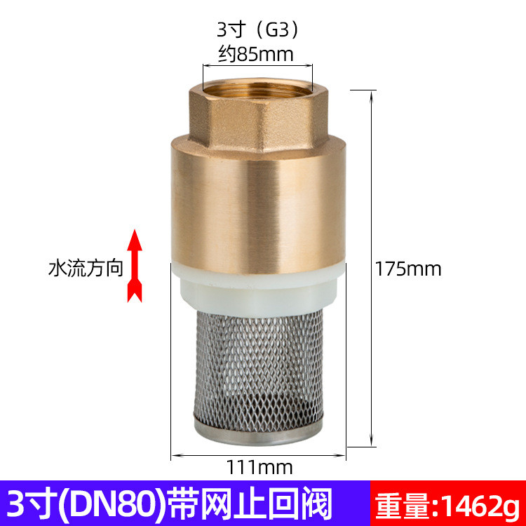 Copper Belt Mesh Check Valve/Copper Bottom Valve Water Pump Bottom ...