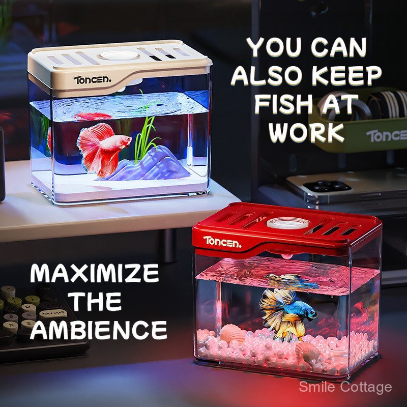 A closer look at Goldfish Office Supplies For Beginners