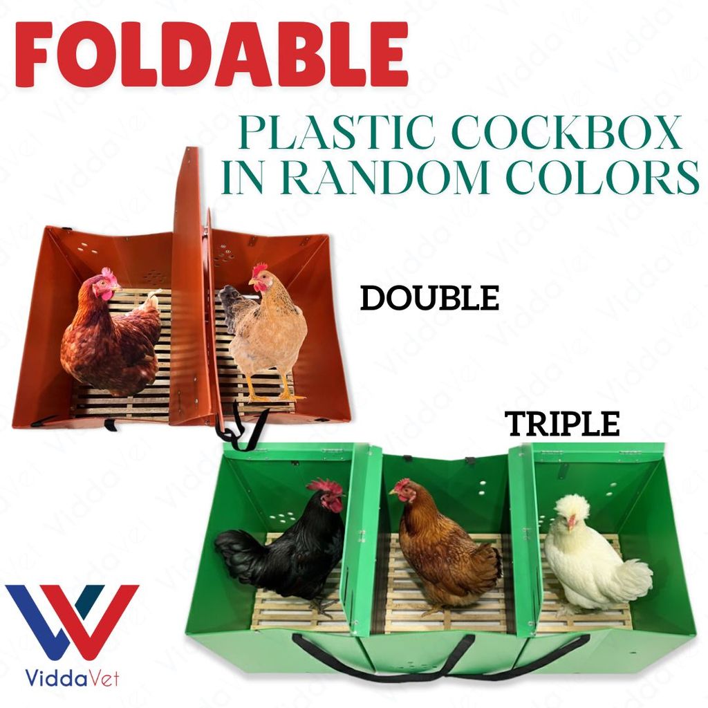 Strong Foldable Plastic Cockbox Anti-Rust Easy Carry Cage for Poultry ...